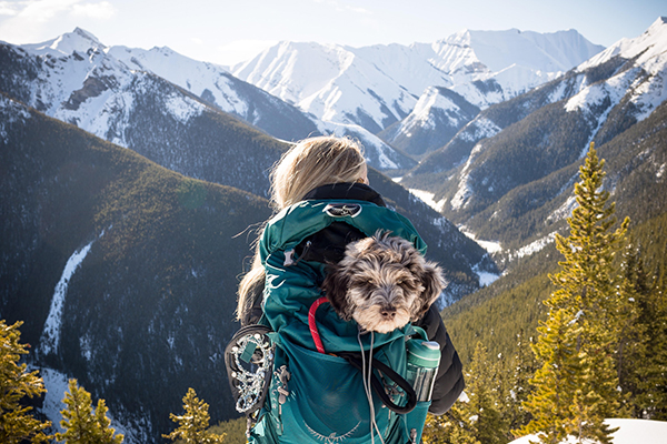 Adventuring-With-Your-Dog-1